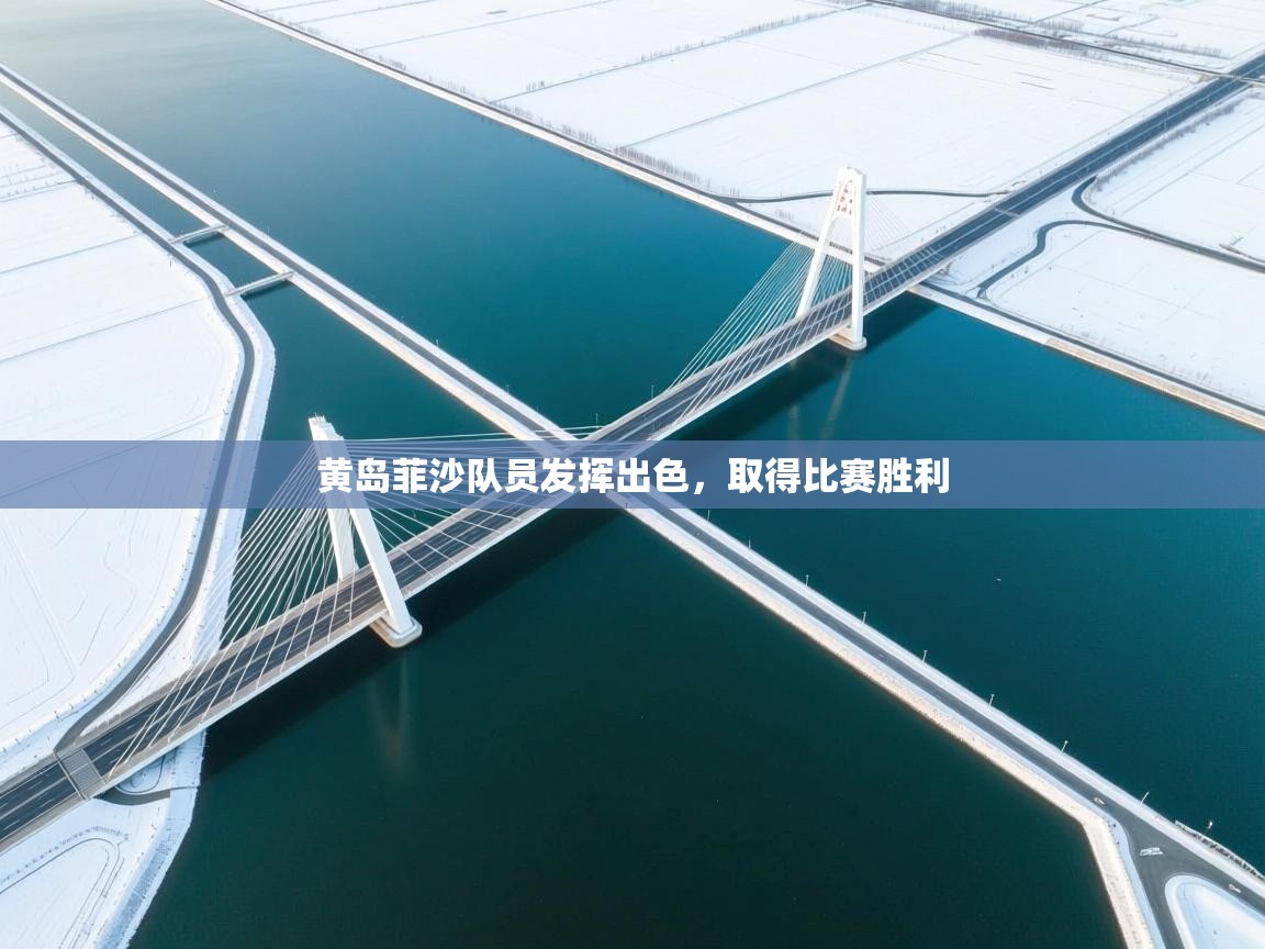 黄岛菲沙队员发挥出色,取得比赛胜利 第1张