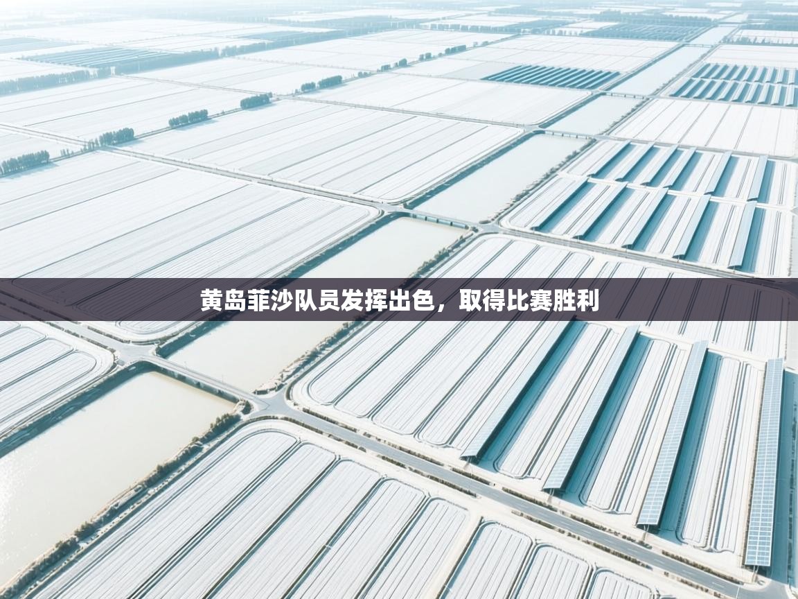 黄岛菲沙队员发挥出色,取得比赛胜利 第2张