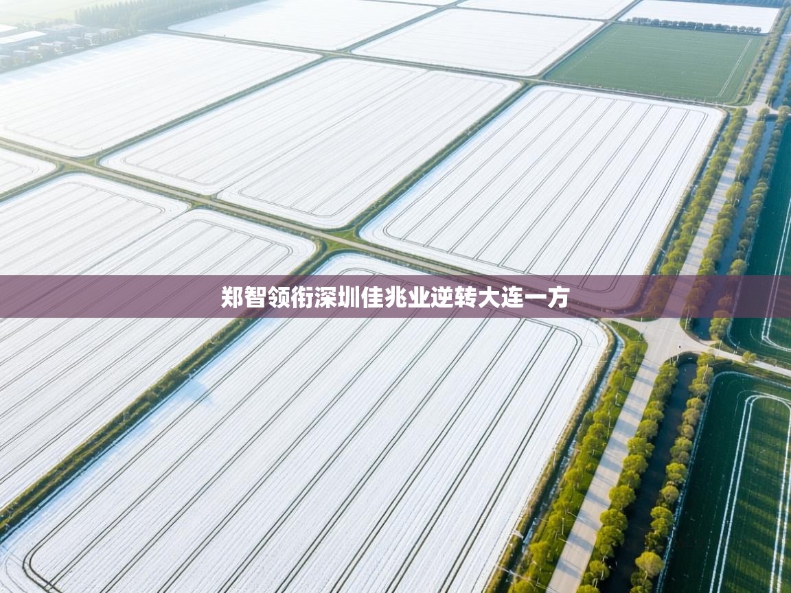 郑智领衔深圳佳兆业逆转大连一方  第1张