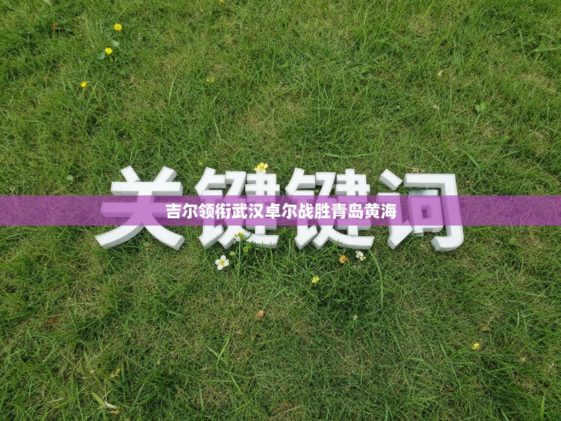 吉尔领衔武汉卓尔战胜青岛黄海  第2张