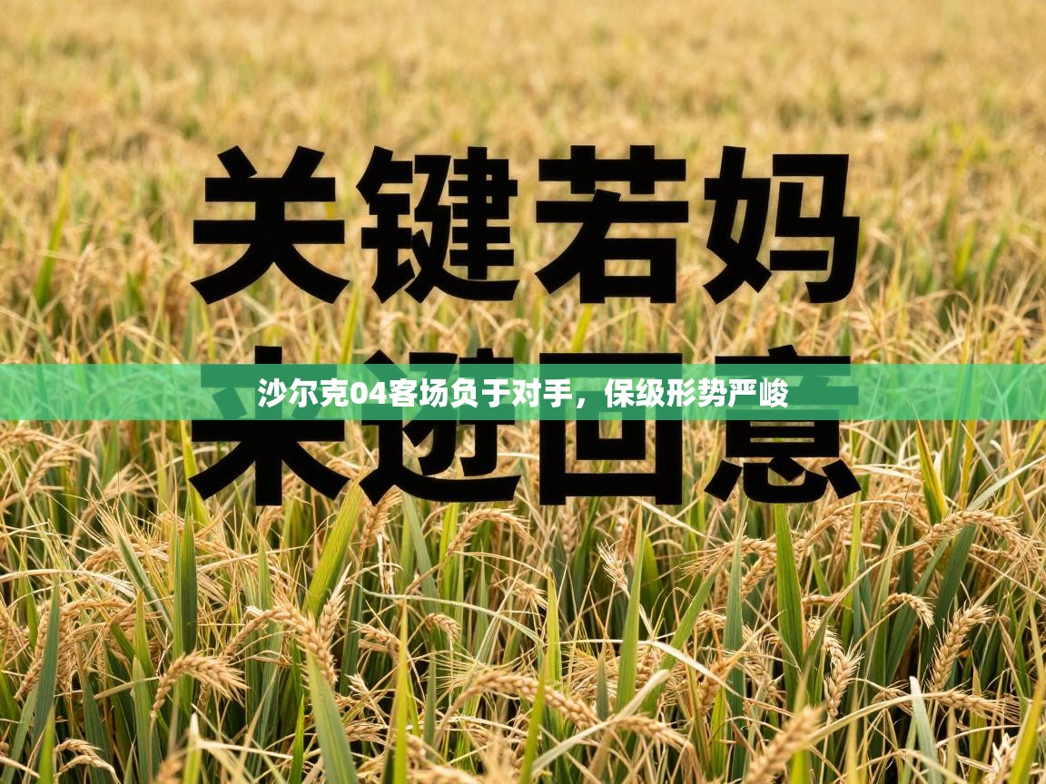 沙尔克04客场负于对手，保级形势严峻  第2张