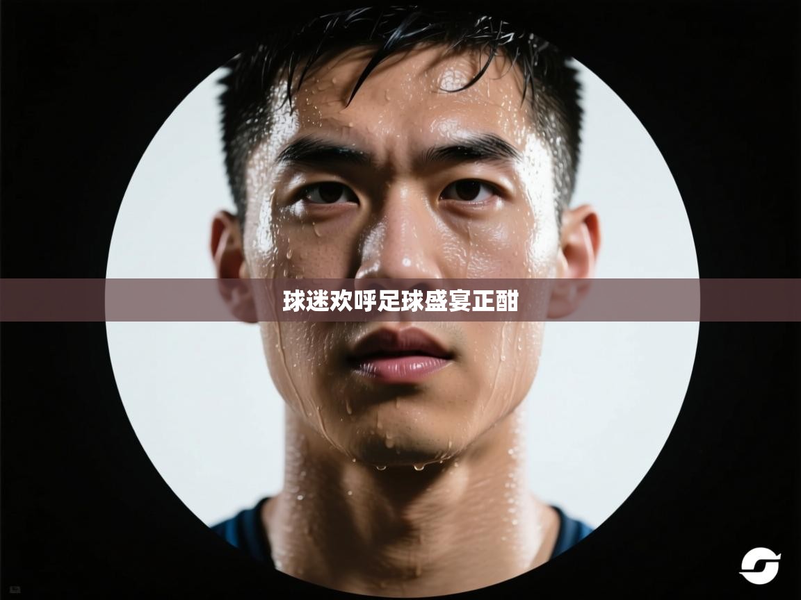 球迷欢呼足球盛宴正酣 第2张