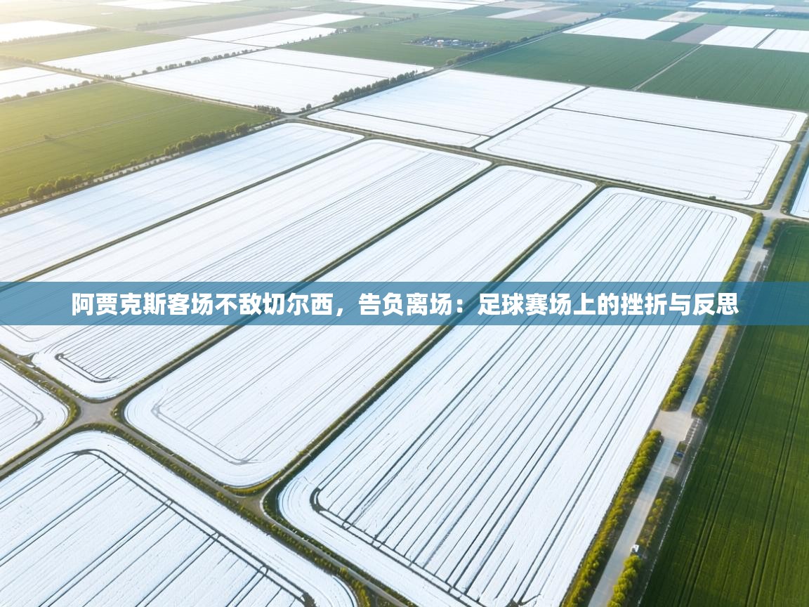 阿贾克斯客场不敌切尔西，告负离场：足球赛场上的挫折与反思  第1张